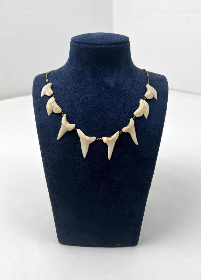 Shark Tooth Necklace: Neat necklace.