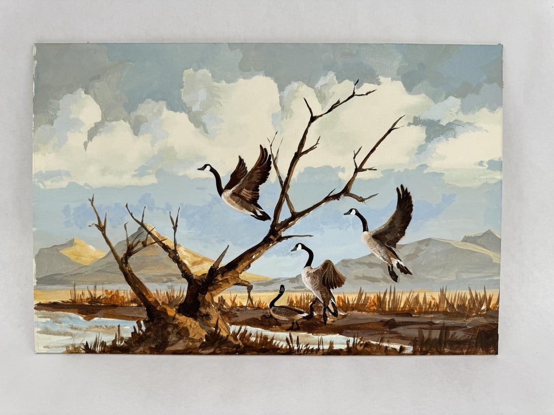Peter Brunson Watercolor Duck Painting: 10 1/2" by 15 7/8"