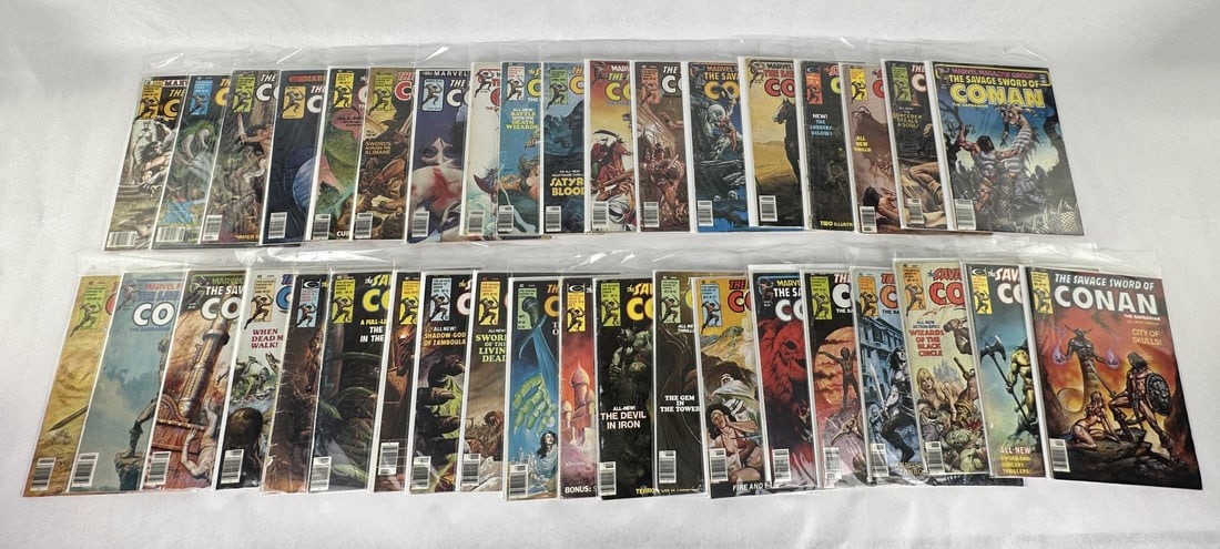 Group Of The Savage Sword Of Conan Comic Books: 38 issues