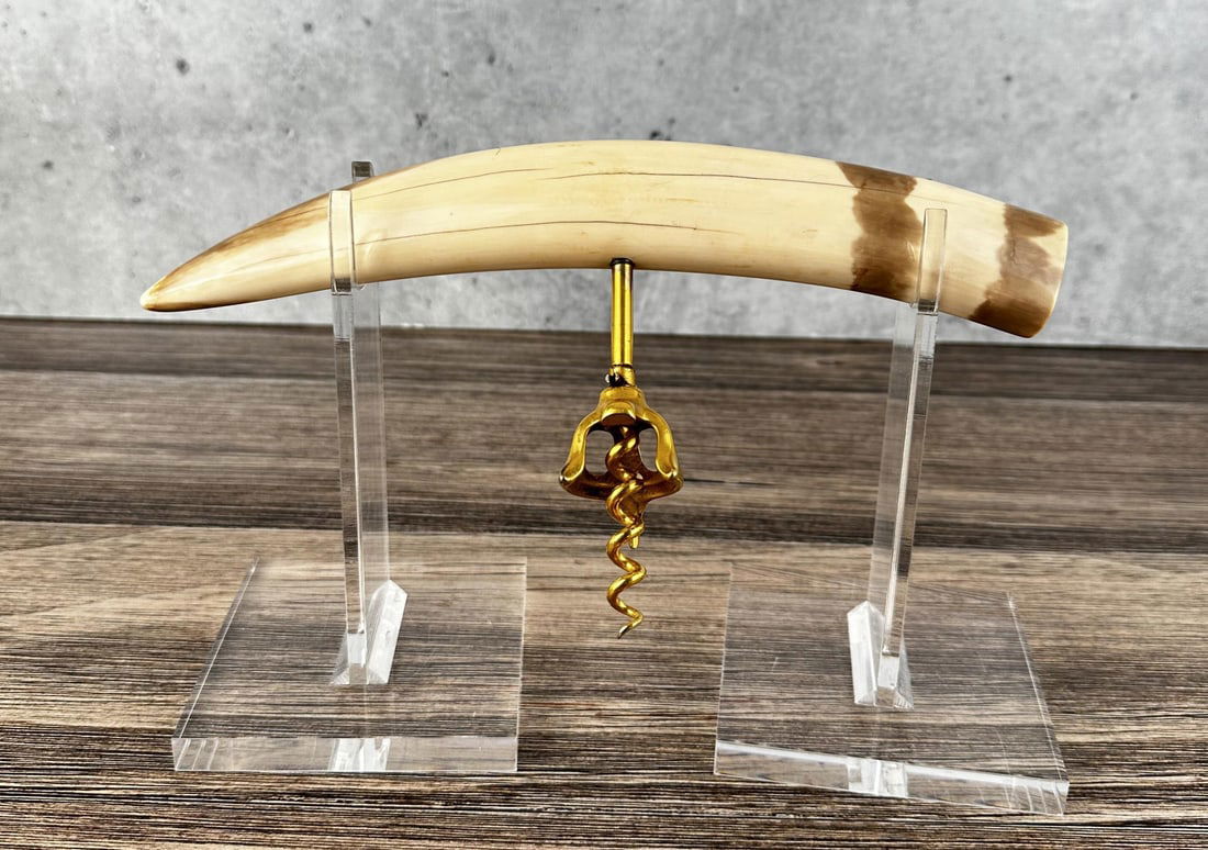 Alaskan Inuit Eskimo Fossil Corkscrew (1 of 5)