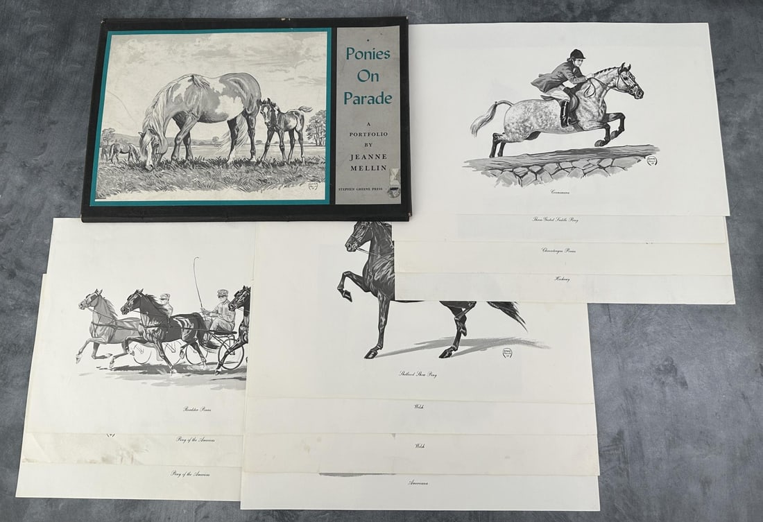 Ponies on Parade Jeanne Mellin Portfolio (1 of 7)