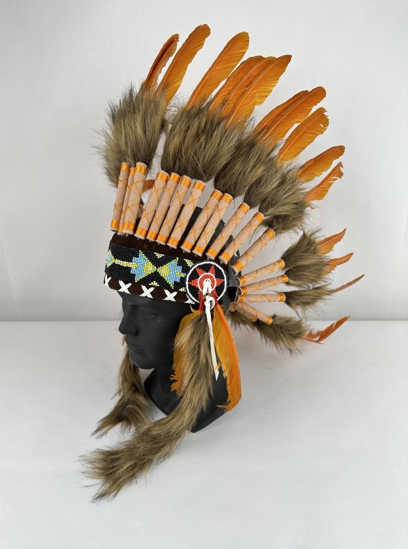 Plains Native American Indian War Bonnet (1 of 4)