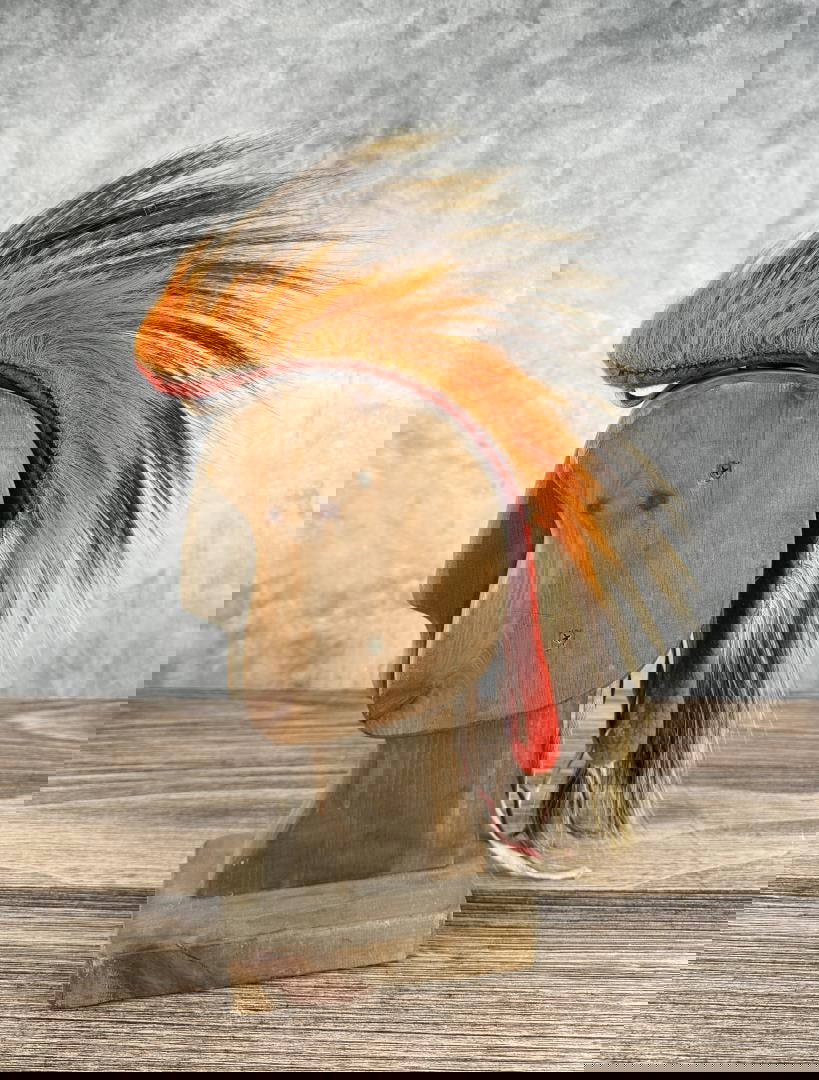 Plains Native American Indian Porcupine Hair Roach Auction