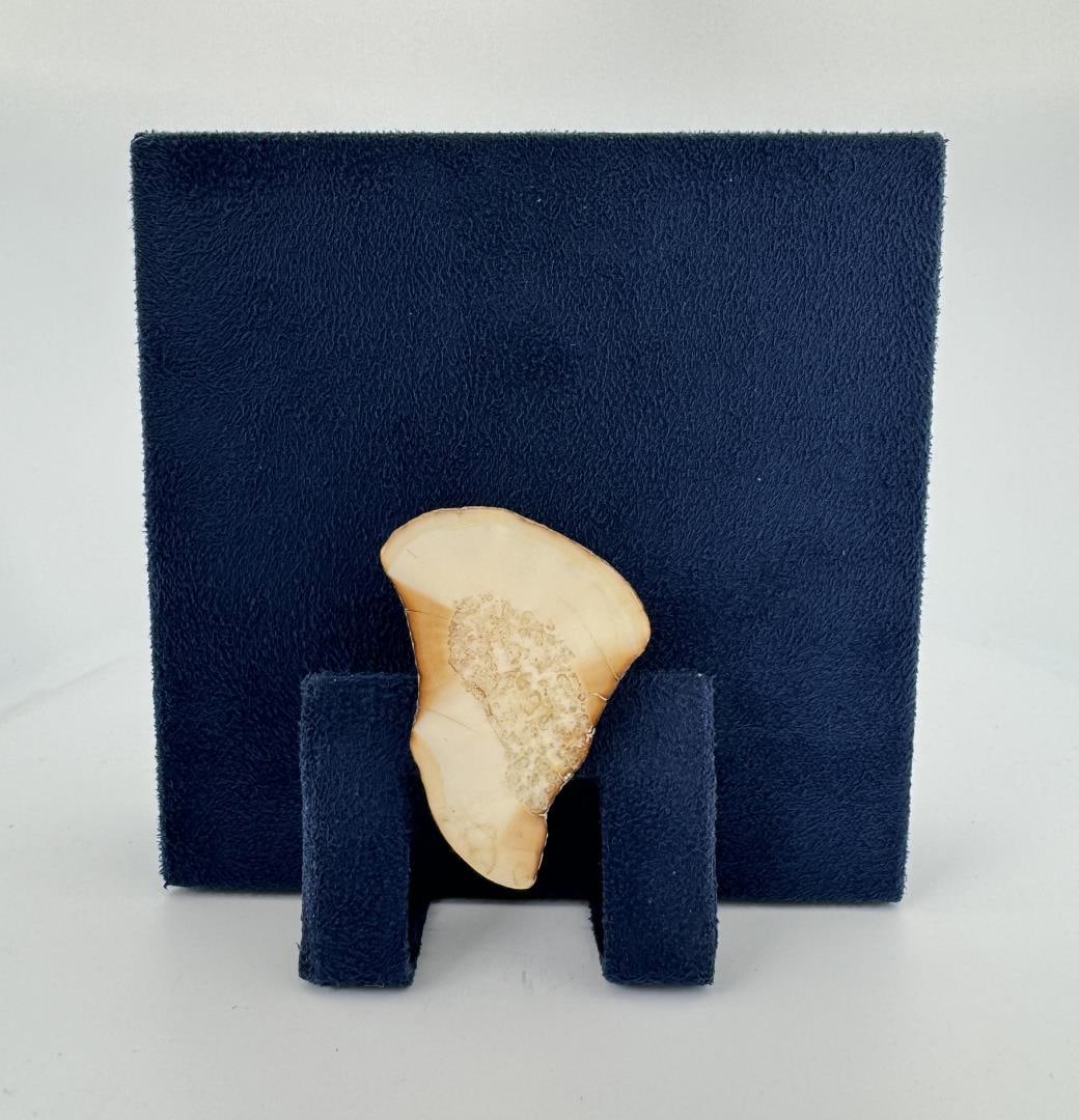 Alaskan Inuit Eskimo Fossil Bolo Tie: Carved Fossil Walrus Material. 1 3/4" long.