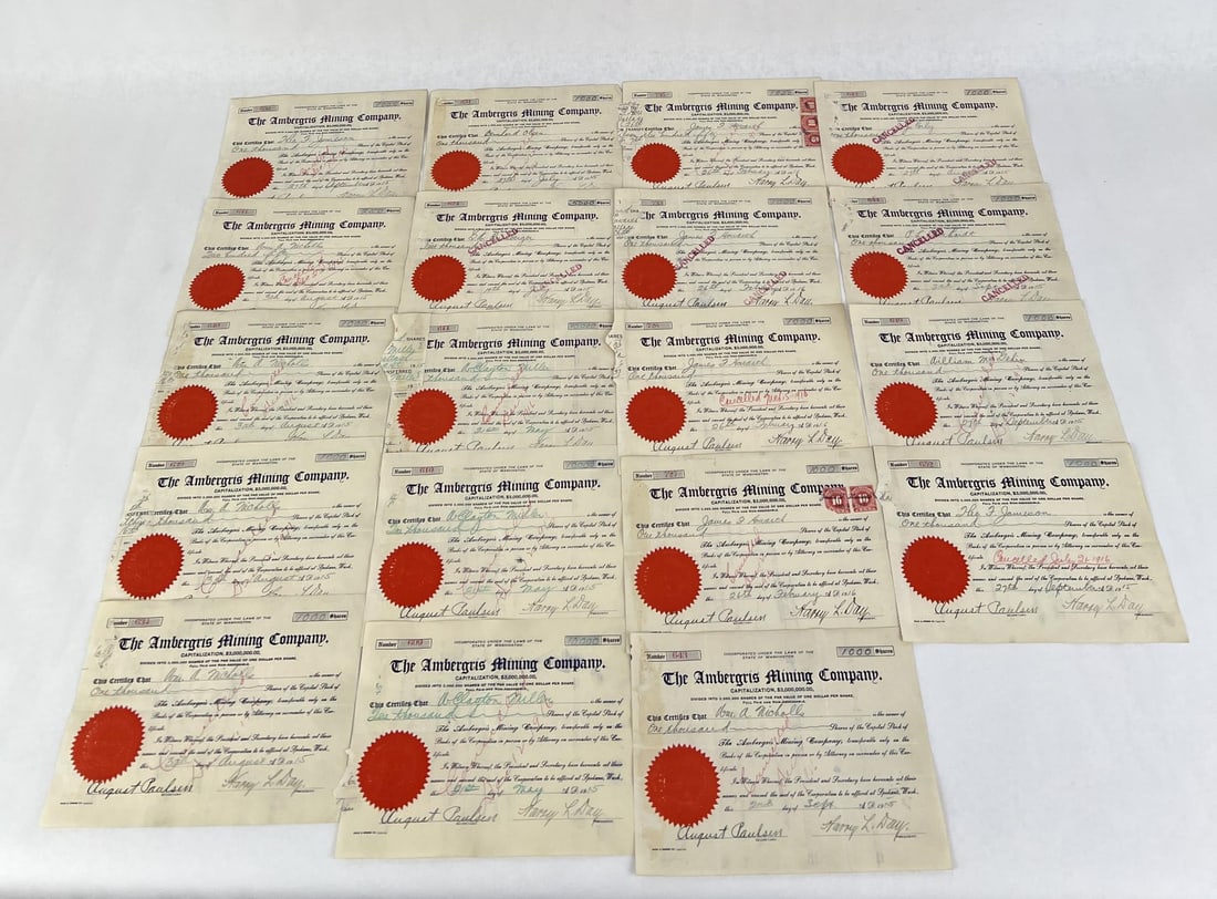 Ambergris Mining Company Washington Stock (1 of 11)