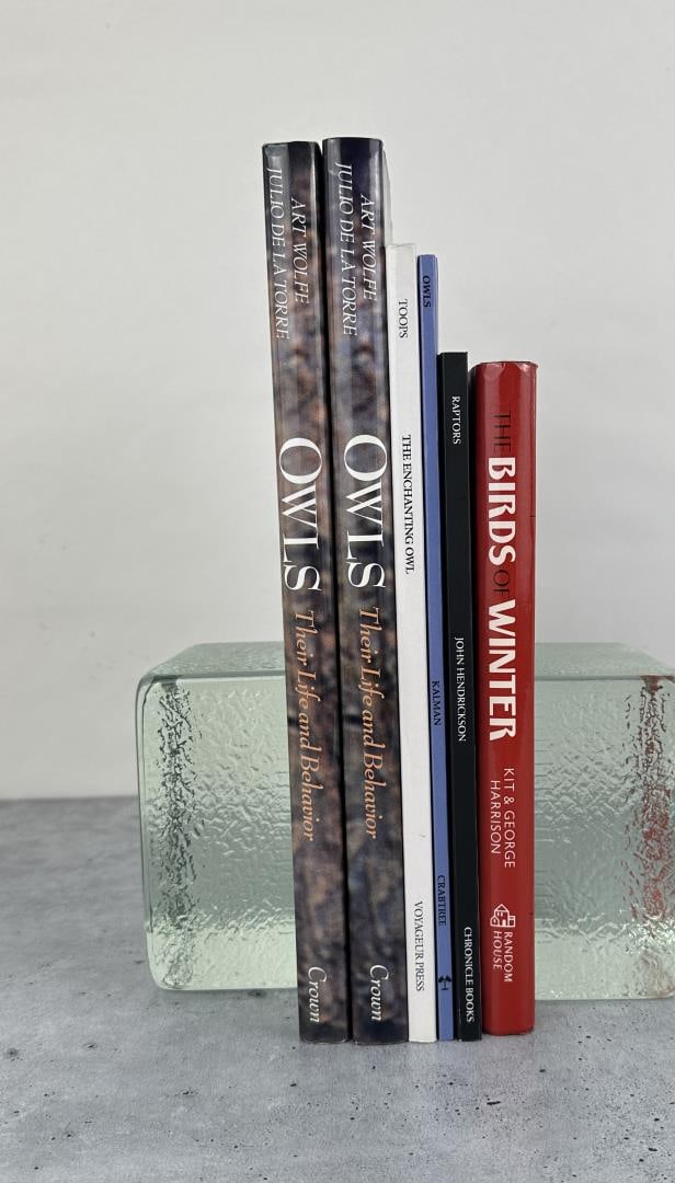 Collection of Books on Owls and Birds (1 of 10)