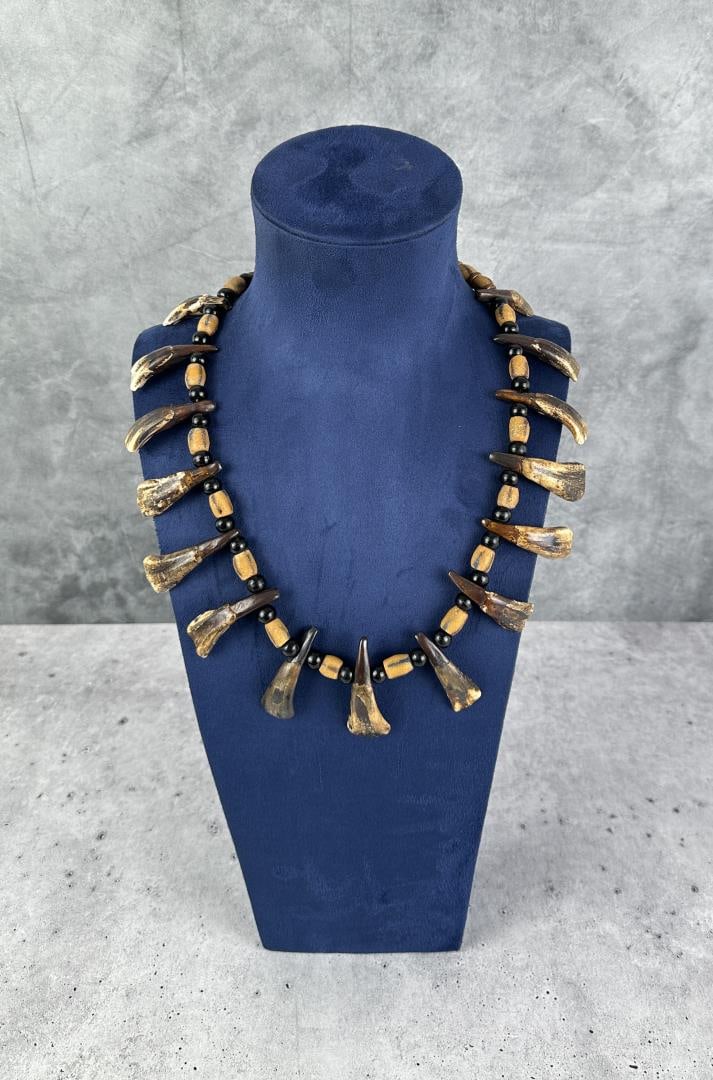 Plains Indian Buffalo Tooth Necklace: 14 1/2" long.