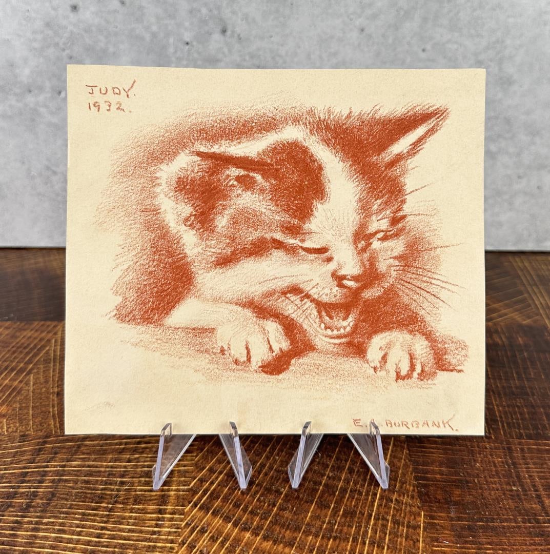 Elbridge Ayer Burbank Conte Crayon Kitten Drawing: Title is Judy. Conte Crayon on Paper. 6" by 6 3/4". Elbridge Ayer Burbank (1858 - 1949) was active/lived in Arizona, California, Illinois. Elbridge Burbank is known for Indian portrait and still life