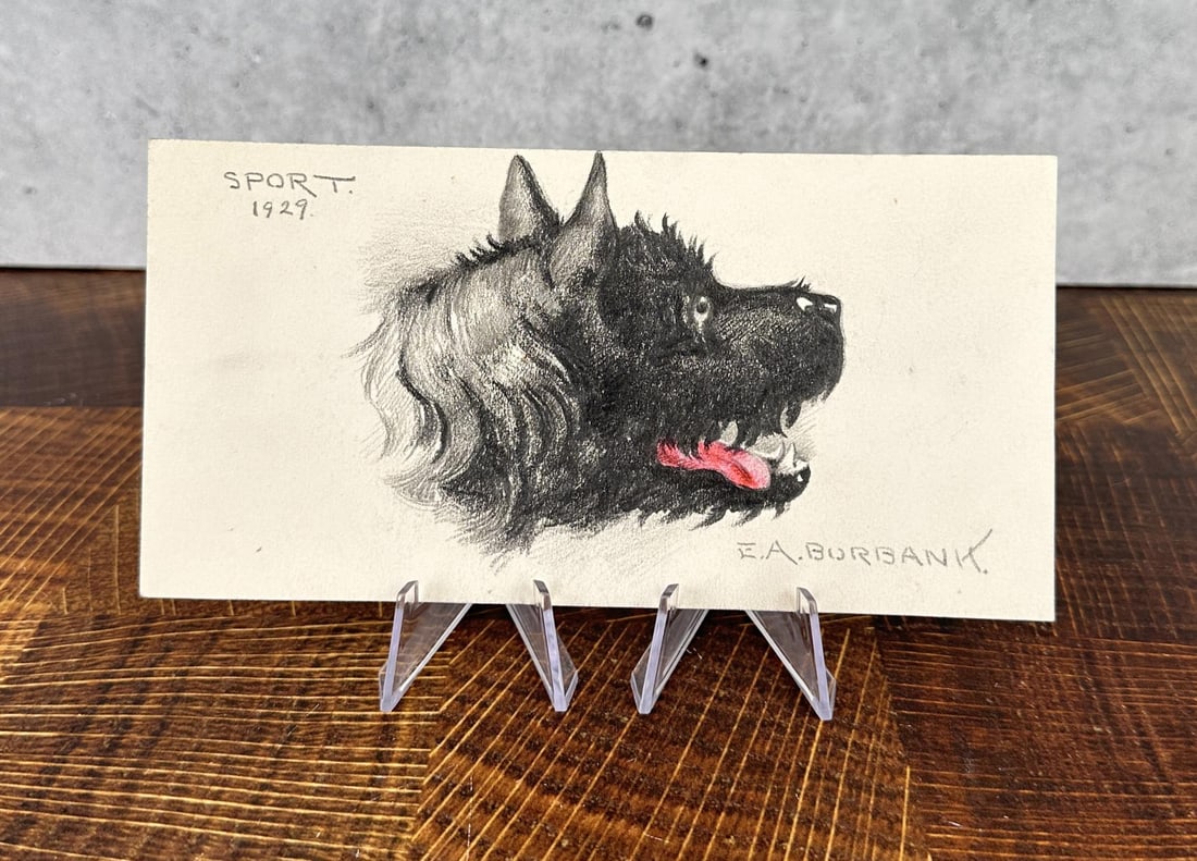 Elbridge Ayer Burbank Charcoal Dog Drawing: Charcoal and Colored Pencil on Paper. Title is Sport. 3 3/4" by 7 1/4". Elbridge Ayer Burbank (1858 - 1949) was active/lived in Arizona, California, Illinois. Elbridge Burbank is known for Indian port