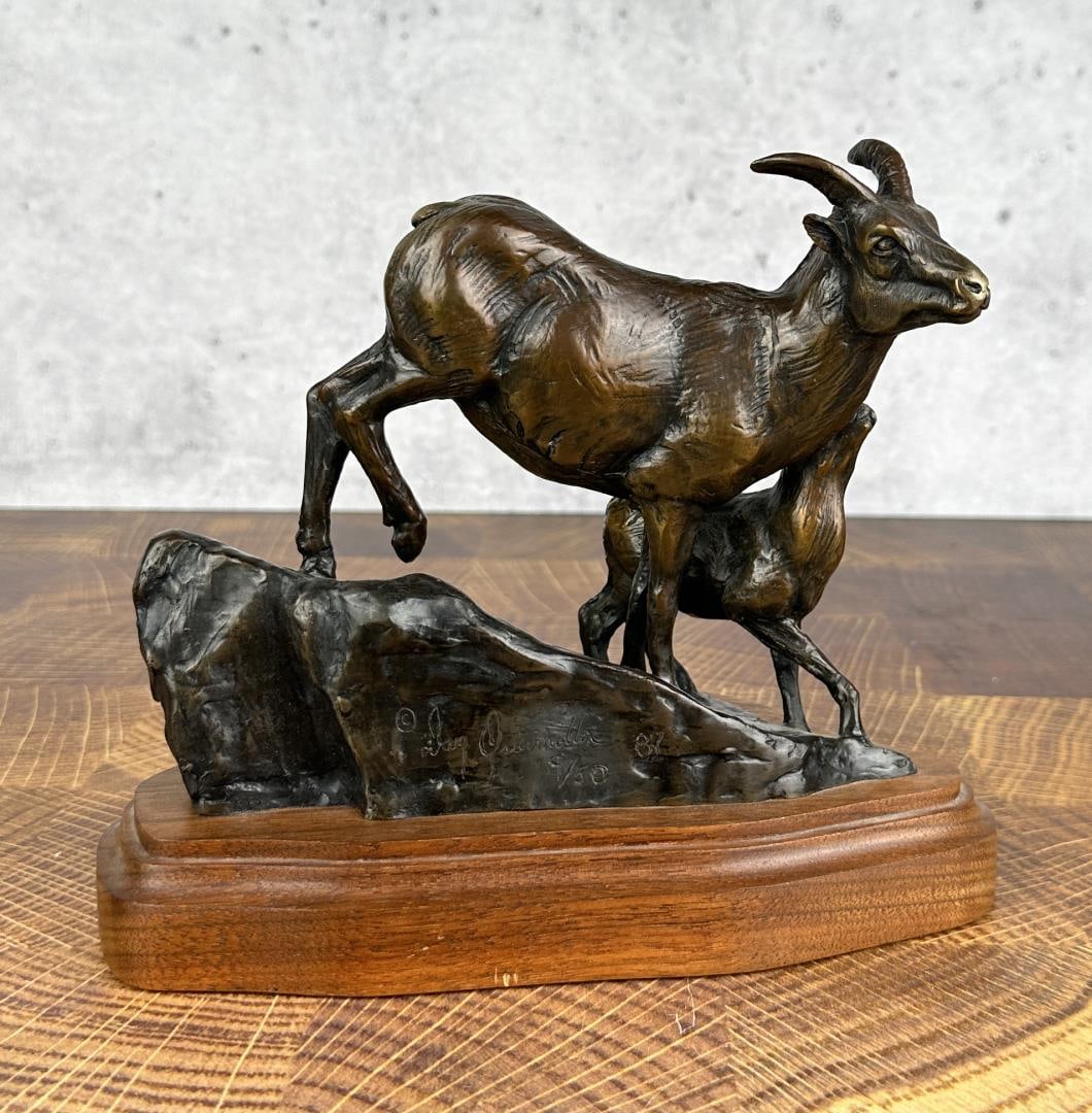 Dan Ostermiller Bighorn Sheep Ewe Bronze: Title is Bighorn Sheep Ewe. 9" by 7 3/4" by 5". Dan Ostermiller (Born 1956) is active/lives in Colorado, Wyoming. Dan Ostermiller is known for Large scale, realistic animal sculpture. One of America's
