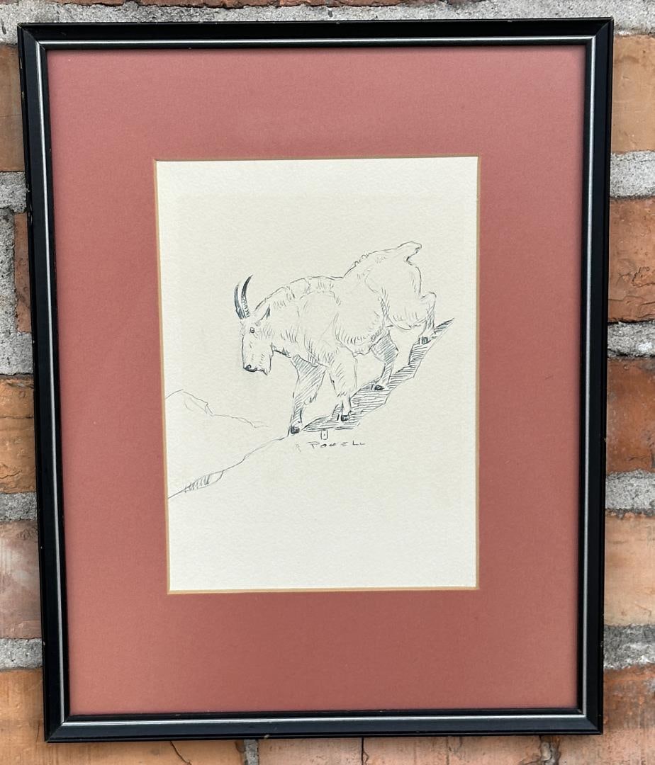 Ace Powell Montana Mountain Goat Drawing (1 of 3)