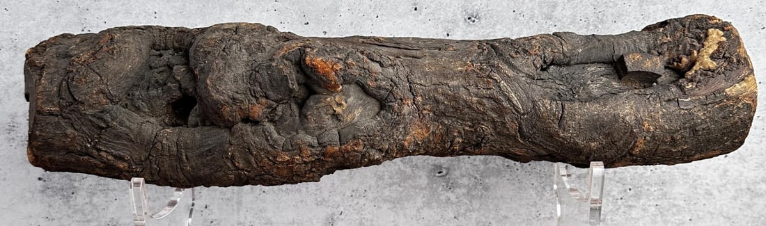 Indian Wars Relic Branch Sitting Bull's Cabin: 1860's-1870's. Log appears to have been hit by a grapeshot canister, it has part of the canister imbedded. This was once owned by Sitting Bull, and may have been acquired after one of his battles. 18 