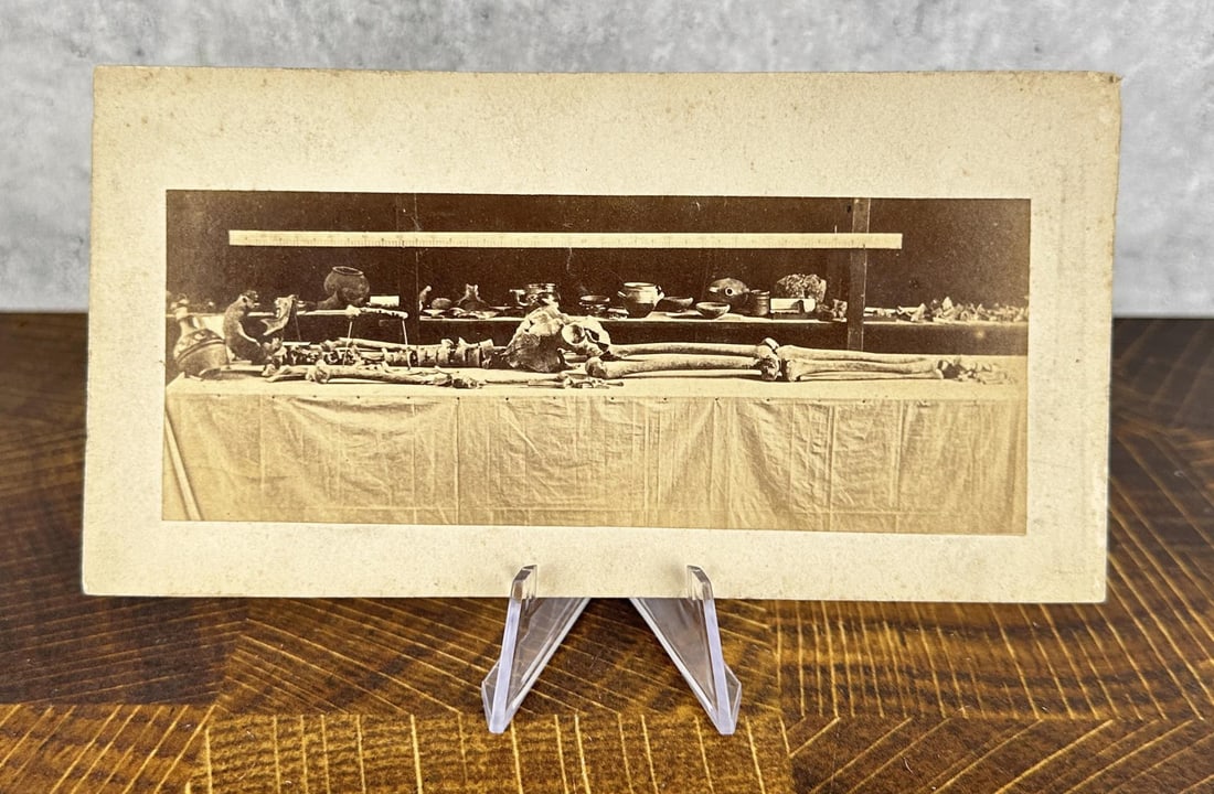 Pompeii Skeleton with Artifacts Photo (1 of 3)