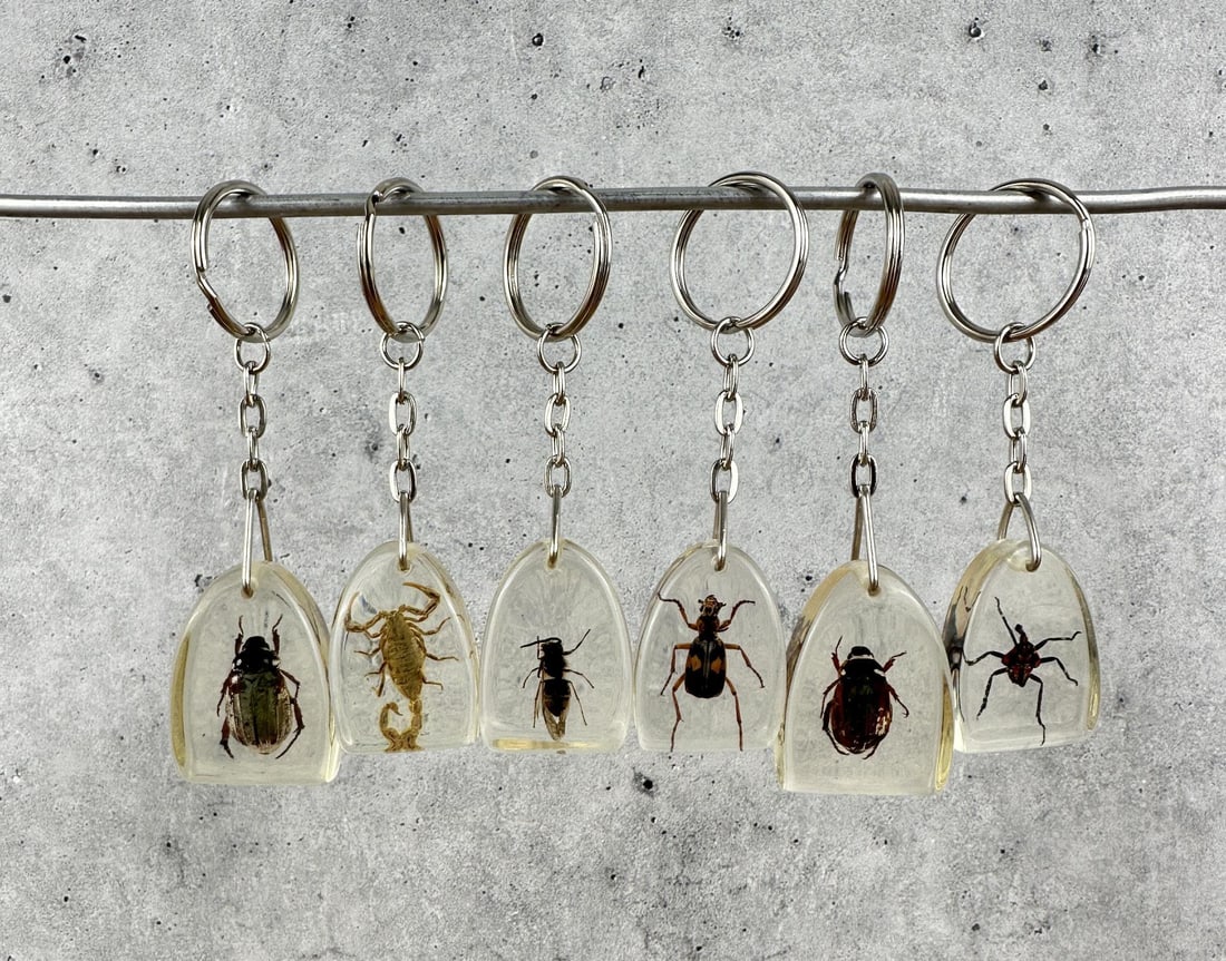 Lucite Acrylic Insect Key Chains: Six total.