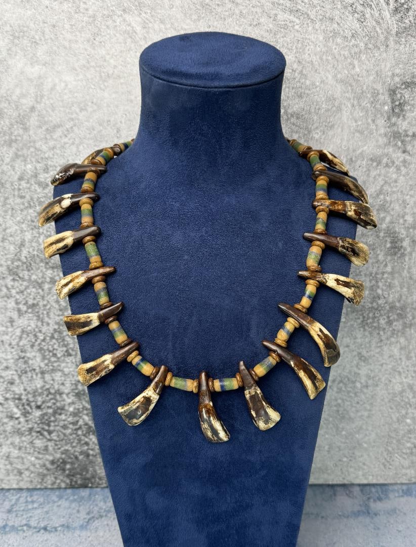 Plains Indian Buffalo Tooth Necklace: 14 1/2" long