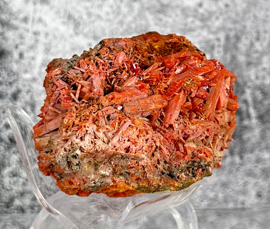 Crocoite Cluster Tasmania Australia Specimen (1 of 5)