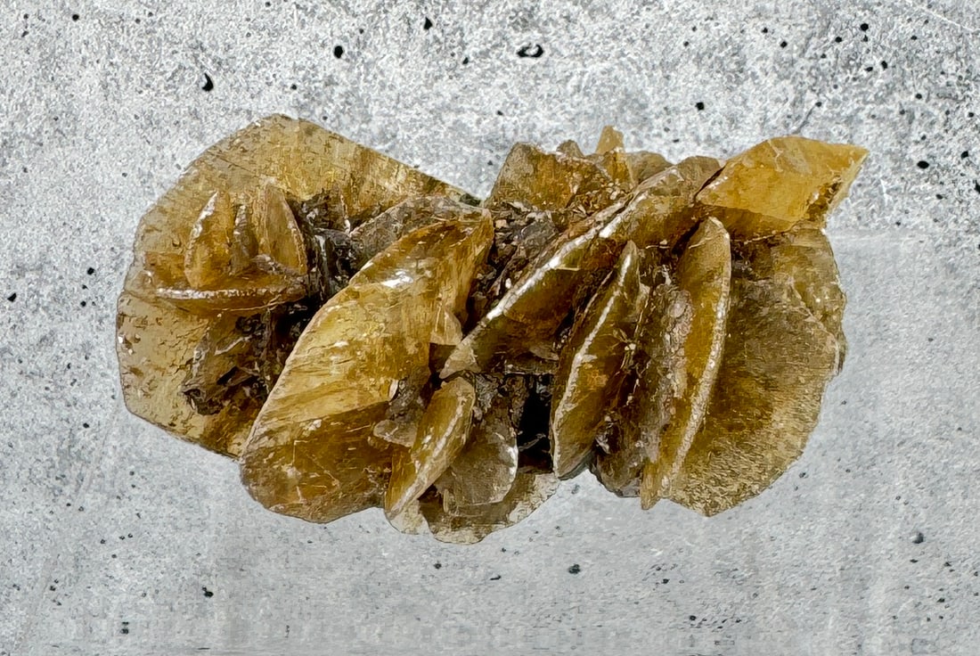 Angel Wing Golden Selenite Specimen (1 of 4)