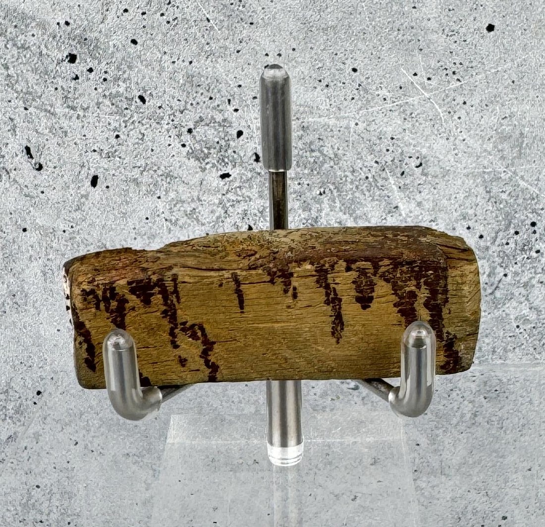 Copper Leached Wood Butte Montana Specimen: Super unusual, copper has leached into the wood over time. You can see bands of the metal running through the wood like grain. 2 3/8" by 3/4" by 5/8". 22.8 grams. Provenance: From the Estate of Kitty'