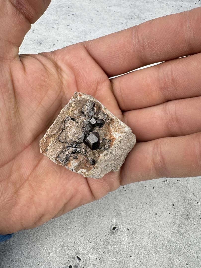 Brown Tourmaline San Luis Potosi Mexico Specimen: 1 5/8" by 1 1/4" by 7/8". 39.55 grams. Provenance: From the Estate of Kitty's Copper Shop Butte Montana.