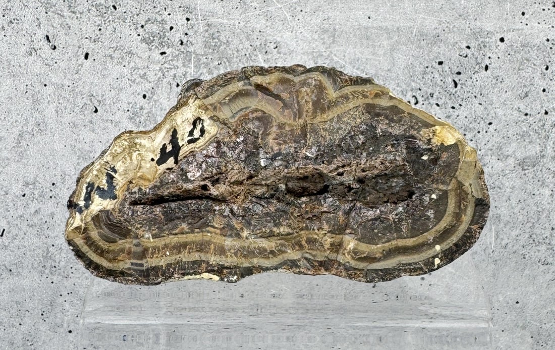 Wurtzite Stalagmite Poland Specimen: Bialy Szarlej Mine. 4 1/4" by 2 1/2" by 2 1/8". 571 grams. Provenance: From the Estate of Kitty's Copper Shop Butte Montana.