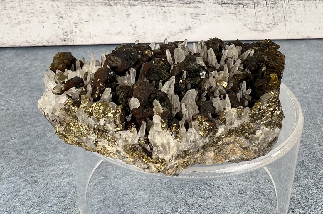 Bornite on Quartz Steward Mine Specimen: Butte Montana. 347 grams. 3 5/8" by 2 7/8" by 1 3/8". Provenance: From the Estate of Kitty's Copper Shop Butte Montana.