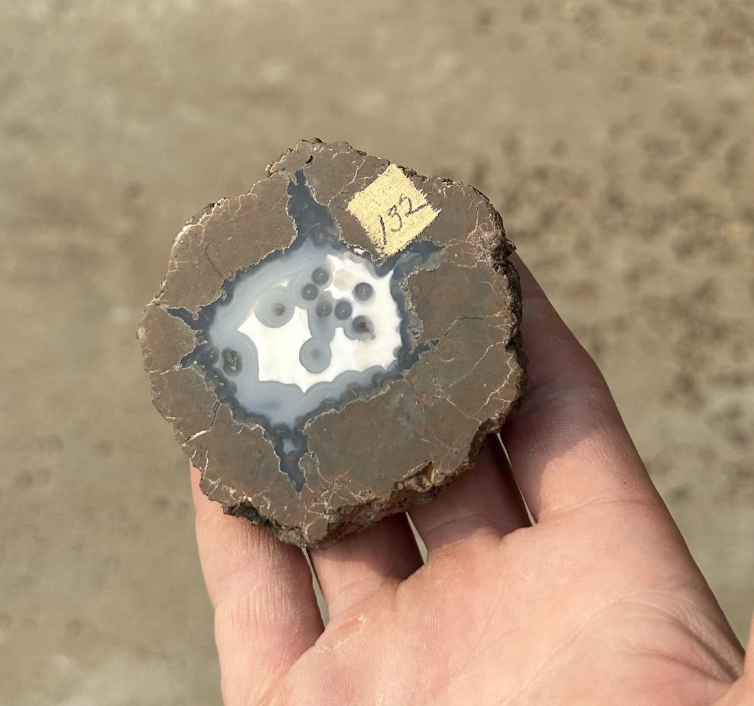 Thunder Egg Agate (1 of 4)