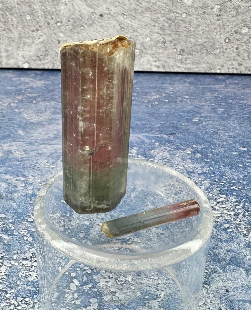 Watermelon Tourmaline Pala California Specimen: 31 grams or 155 carats. Provenance: From the Estate of Kitty's Copper Shop Butte Montana.