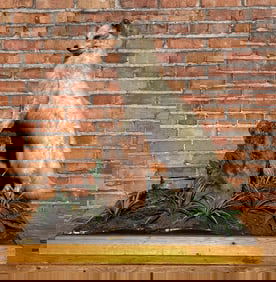 Gorgeous Marbled Arctic Fox Taxidermy Mount