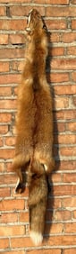 Montana Taxidermy Tanned Red Fox Hide