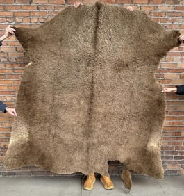 Antique Plains Indian Buffalo Hide Rug Robe
