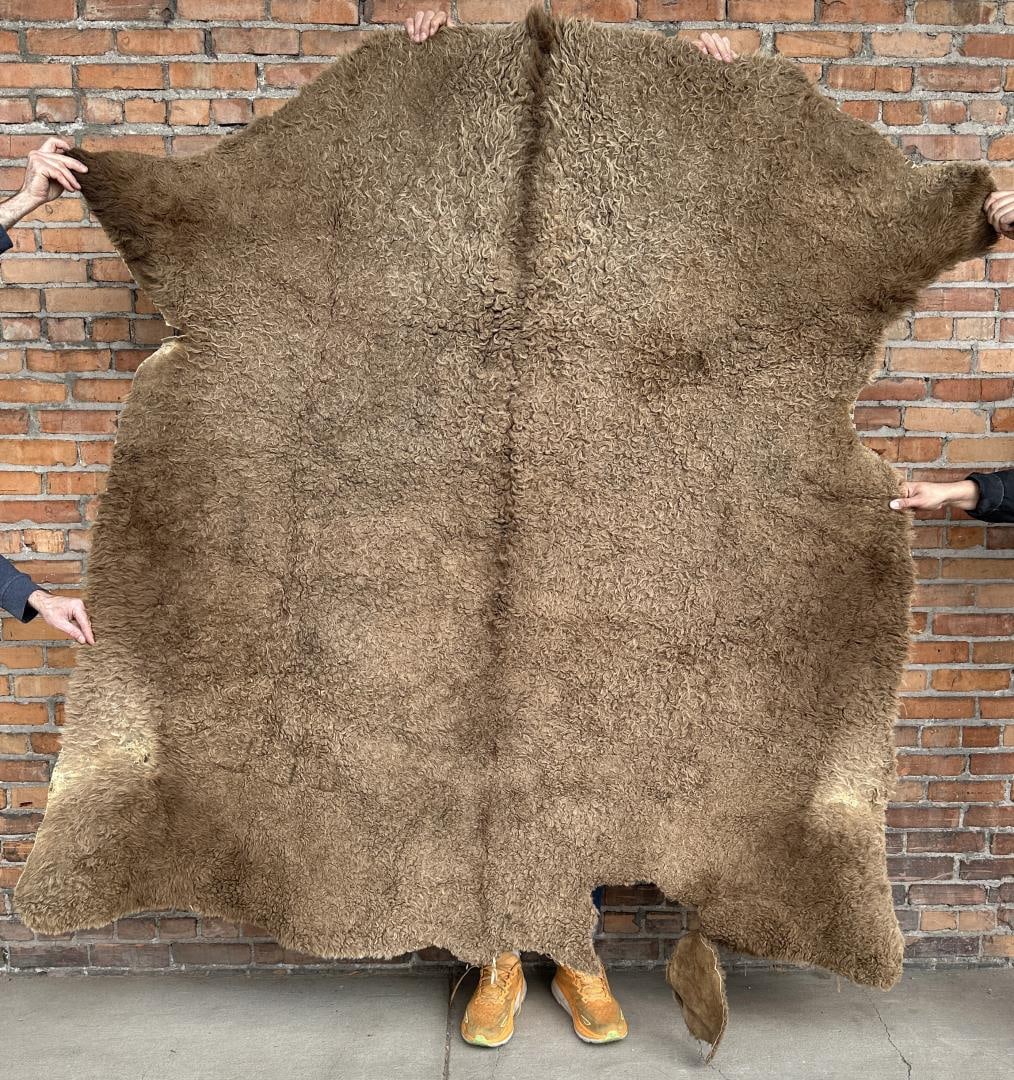 Antique Plains Indian Buffalo Hide Rug Robe (1 of 6)