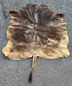 Antique Montana Ranch Steer Hide Rug