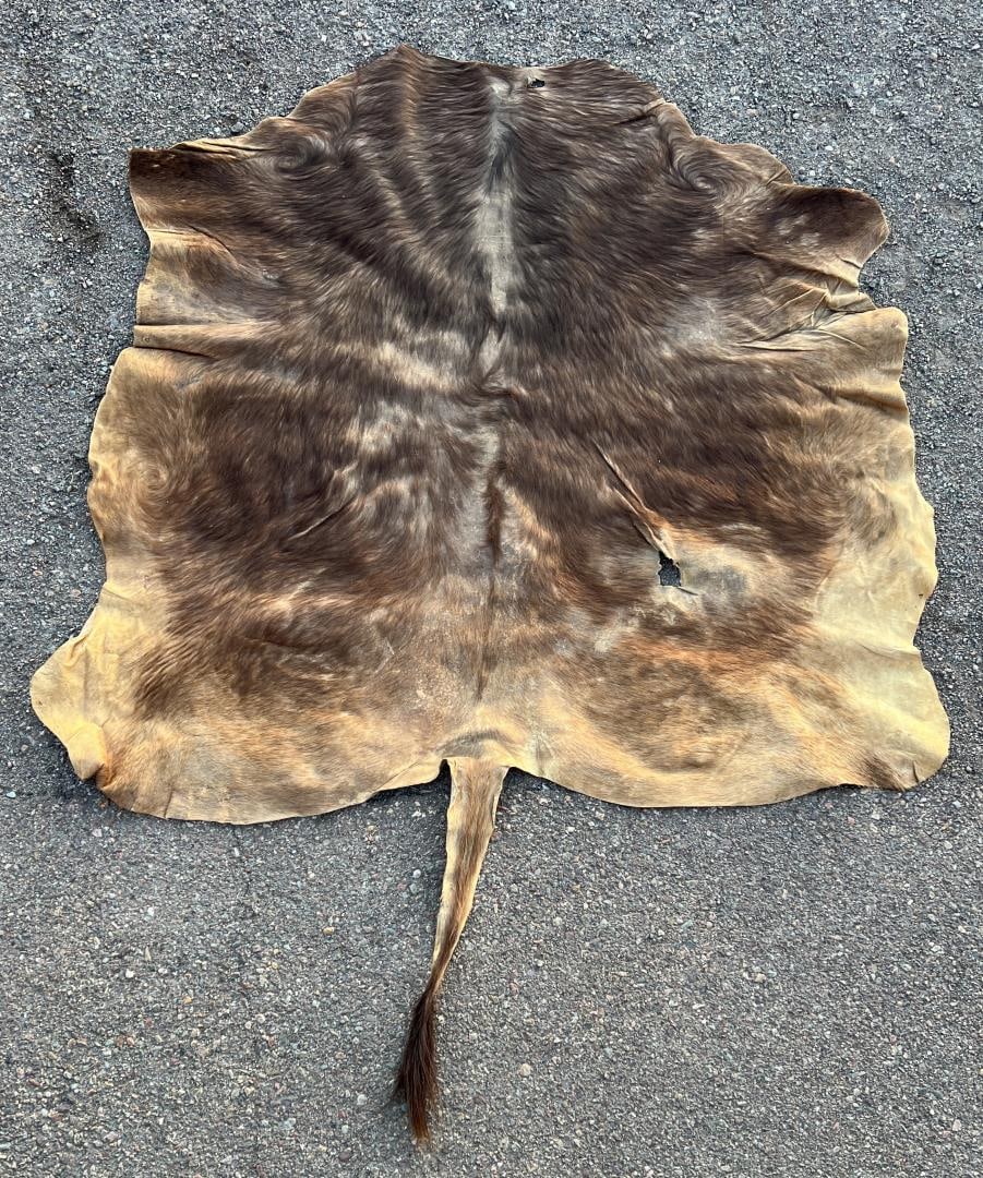 Antique Montana Ranch Steer Hide Rug (1 of 3)