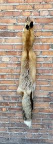 Montana Taxidermy Red Fox Hide Pelt