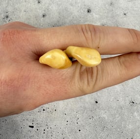 Montana Bull Elk Teeth