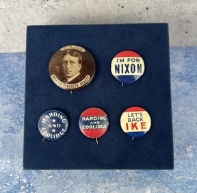 Collection of Political Celluloid Buttons