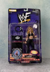 Jakks Pacific WWF Sable Bomb Action Figure