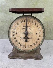 American Family Scale