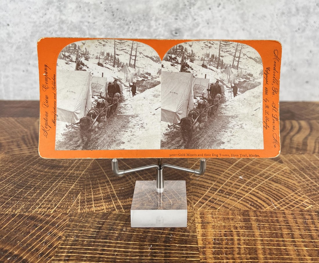 Gold Miners and Dog Teams Stereoview: Dyea Trail Alaska.