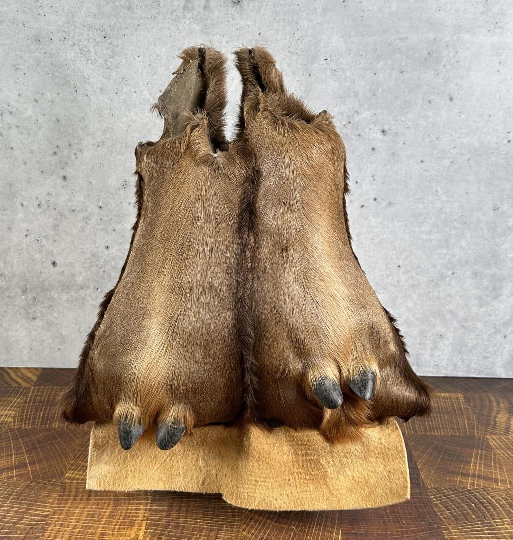 Crow Montana Native American Indian Dew Claw Bag (1 of 5)