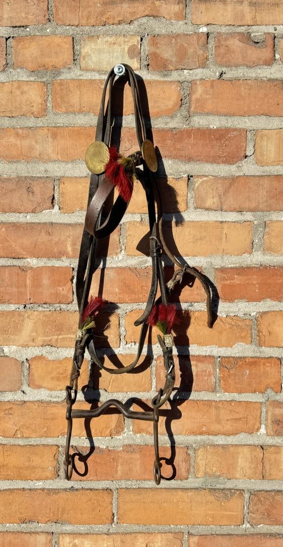 Native American Indian Horsehair Bridle (1 of 5)