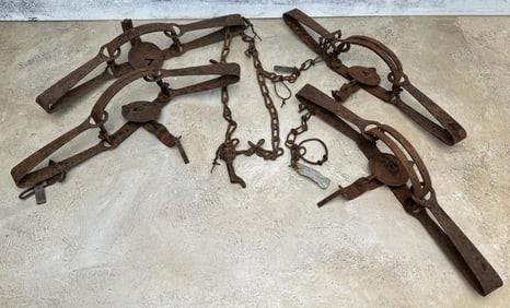 Montana Ranch Used Victor Double Spring Traps