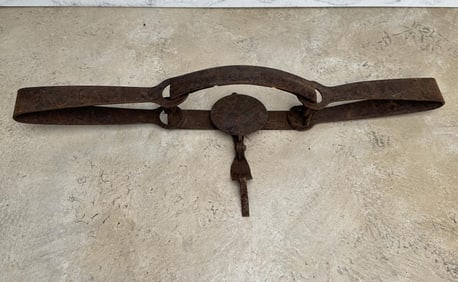 Triumph Triple Clutch 4XT Trap