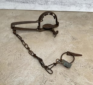 Triumph Triple Clutch 115X Trap