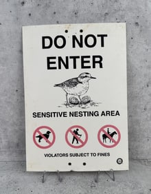 Snowy Plover Nesting Area Sign California