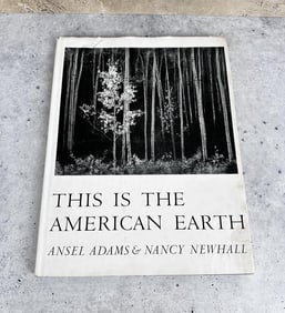 This Is The American Earth