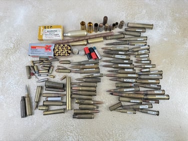 Large Cartridge Collection