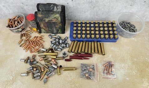 Collection of Bullets and Brass
