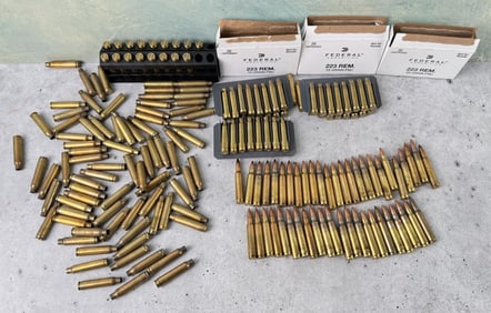 .223 Rifle Ammo and Brass