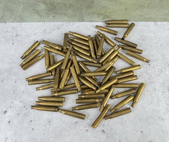 .270 Win Rifle Brass
